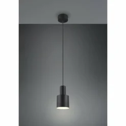 Luminaires Trio Agudo Suspension Noir, 1 lumière* Suspensions