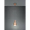 Luminaires Trio Agudo Suspension Brun, 1 lumière* Suspensions