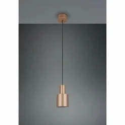 Luminaires Trio Agudo Suspension Brun, 1 lumière* Suspensions