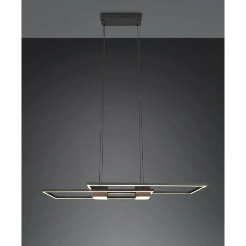 Luminaires Trio ALBANY Suspension LED Noir, 1 lumière, Télécommandes* Éclairage Led