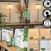 hofstein Algeraz Lampe de table d'extérieur, Lampe à poser LED Vert, 1 lumière