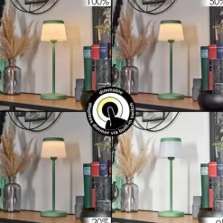 hofstein Algeraz Lampe de table d'extérieur, Lampe à poser LED Vert, 1 lumière