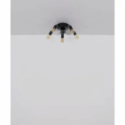 Luminaires Globo Lighting Alisha Ventilateur de plafond lumineux Noir, 5 lumières, Télécommandes