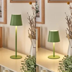 hofstein Allen Lampe de table d'extérieur, Lampe à poser LED Vert, 1 lumière