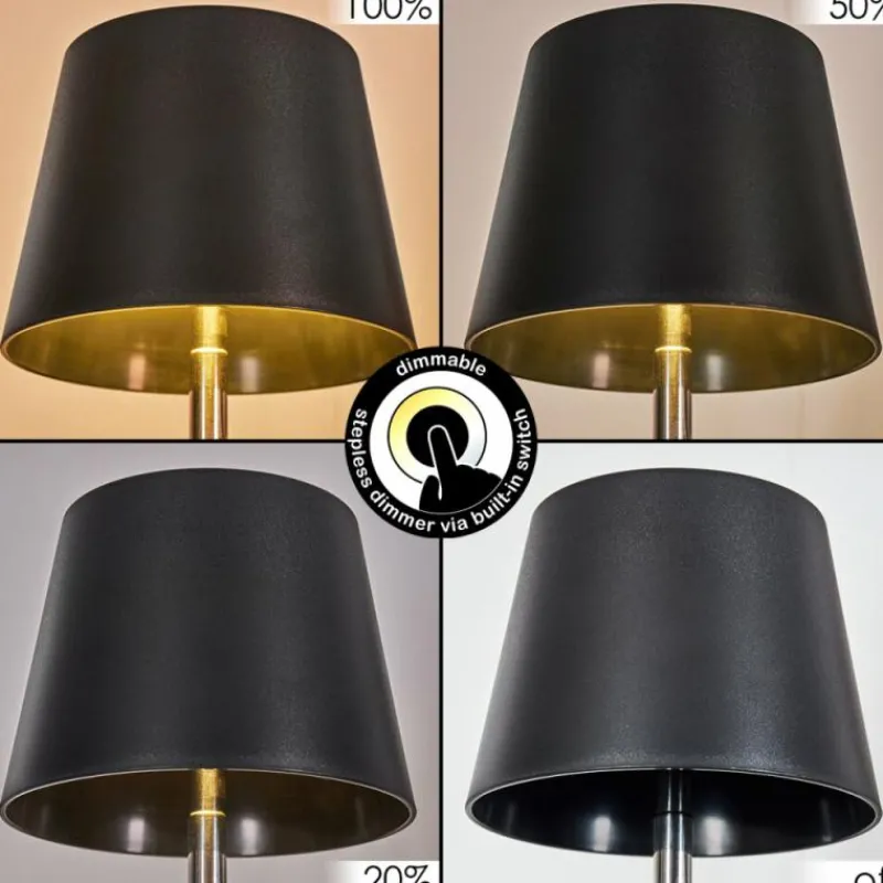 Luminaires Scandinaves-hofstein Amien Lampe de table d'extérieur, Lampe à poser LED Noir, Argenté, 1 lumière