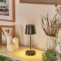 Luminaires Scandinaves-hofstein Amien Lampe de table d'extérieur, Lampe à poser LED Noir, Argenté, 1 lumière