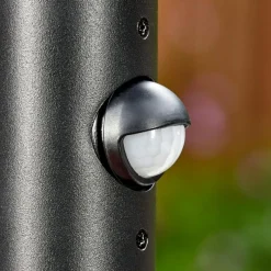 Luminaires Rustiques-hofstein Anfei Luminaire extérieur, Eclairage de chemin Noir, 1 lumière, Détecteur de mouvement