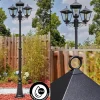 Luminaires Rustiques-hofstein Anfei Luminaire extérieur, Réverbère, Eclairage de chemin Noir, 3 lumières