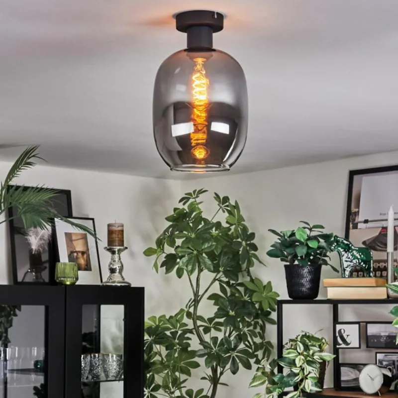 hofstein Apedo Plafonnier Fumé, 1 lumière