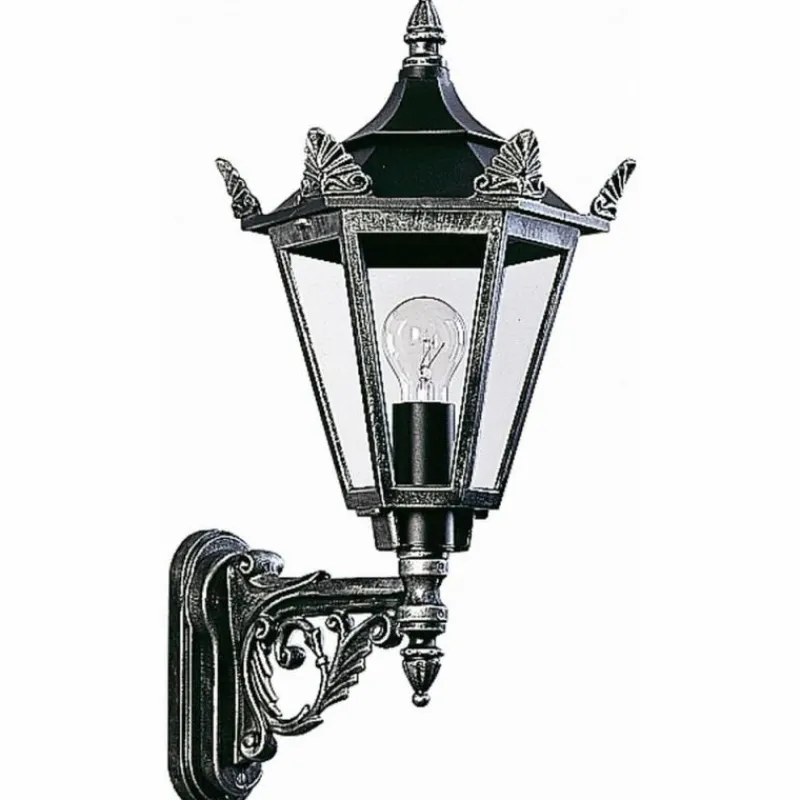 Luminaires Rustiques-Luminaires Albert Leuchten Applique extérieure Albert 1806 Noir, Argenté, 1 lumière