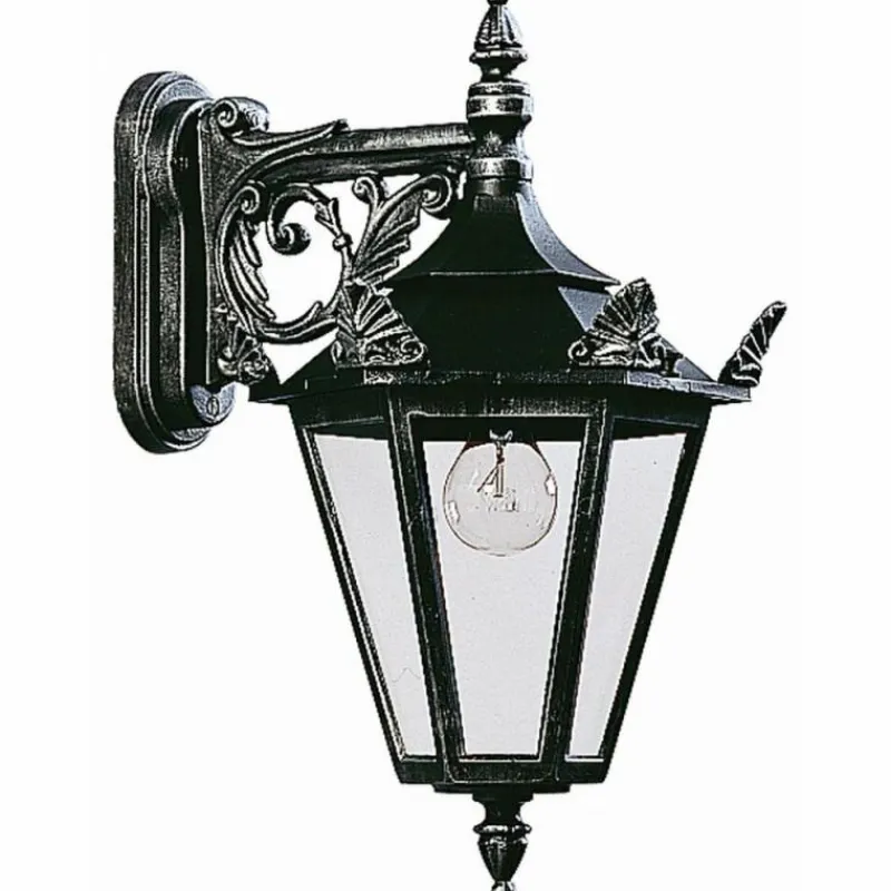 Luminaires Rustiques-Luminaires Albert Leuchten Applique extérieure Albert 1807 Noir, Argenté, 1 lumière