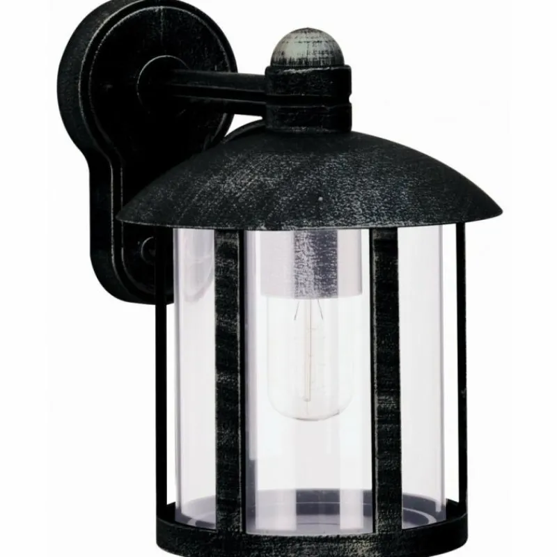 Luminaires Rustiques-Luminaires Albert Leuchten Applique extérieure Albert 1835 Noir, Argenté, 1 lumière