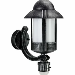 Luminaires Rustiques-Luminaires Albert Leuchten Applique extérieure Albert 1842 Noir, Argenté, 1 lumière, Détecteur de mouvement