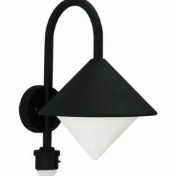 Luminaires Albert Leuchten Applique extérieure Albert 646 Noir, 1 lumière, Détecteur de mouvement