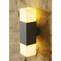 Luminaires Trio applique extérieure Trio HUDSON Acier inoxydable, 2 lumières