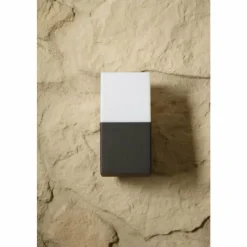 Luminaires Trio applique extérieure Trio HUDSON Noir, 1 lumière