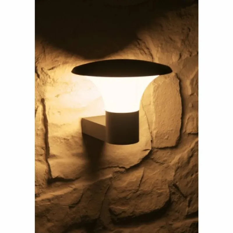 Luminaires Trio applique extérieure Trio KONGO Noir, 1 lumière
