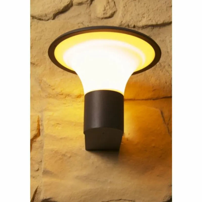 Luminaires Trio applique extérieure Trio KONGO Noir, 1 lumière