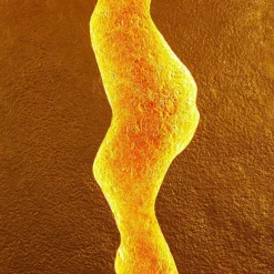 Lampes Dorées-Luminaires Holländer Applique Holländer ERUPTION LED Or, Rouge, 1 lumière