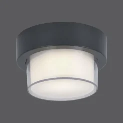 Paul Neuhaus Q-Serie Applique murale / Plafonnier Paul Neuhaus Q-ERIK LED Blanc, 1 lumière, Détecteur de mouvement, Télécommandes, Changeur de couleurs