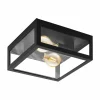 Luminaires Eglo Applique murale / Plafonnier Eglo AMEZOLA Noir, 2 lumières
