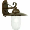 Luminaires Eglo Applique murale d'extérieur Eglo MILTON Brun foncé, 1 lumière