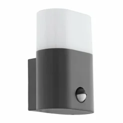 Luminaires Eglo Applique murale d'extérieur Eglo FAVRIA LED Anthracite, 1 lumière, Détecteur de mouvement