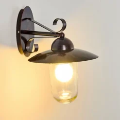 hofstein Applique murale d'extérieur Maidiswil Brun foncé, 1 lumière