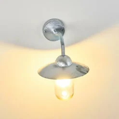 hofstein Applique murale d'extérieur Maidiswil Argenté, 1 lumière