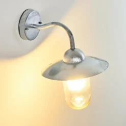 hofstein Applique murale d'extérieur Maidiswil Argenté, 1 lumière