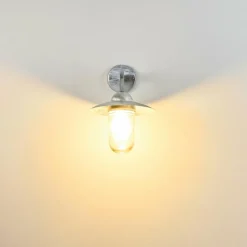 hofstein Applique murale d'extérieur Maidiswil Argenté, 1 lumière