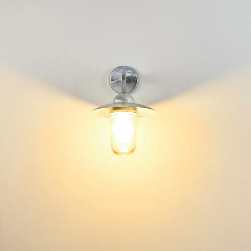 hofstein Applique murale d'extérieur Maidiswil Argenté, 1 lumière