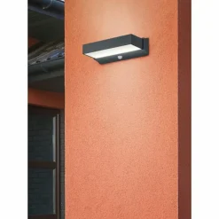 Luminaires Trio Applique murale d'extérieur Trio CUANDO LED Anthracite, 1 lumière, Détecteur de mouvement