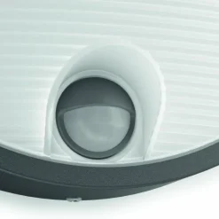 Luminaires Philips Applique murale d'extérieur Philips Capricorn LED Anthracite, 1 lumière, Détecteur de mouvement