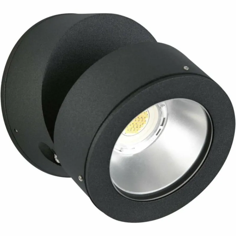 Luminaires Albert Leuchten Applique murale d'extérieur Albert 2389 LED Noir, 1 lumière