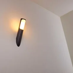 hofstein Applique murale d'extérieur Nalmaibrück Anthracite, 1 lumière