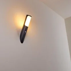 hofstein Applique murale d'extérieur Nalmaibrück Anthracite, 1 lumière, Détecteur de mouvement