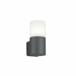 Luminaires Trio Applique murale d'extérieur Trio Leuchten HOOSIC Anthracite, 1 lumière