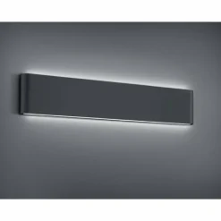 Luminaires Trio Applique murale d'extérieur Trio Leuchten THAMES II LED Anthracite, 2 lumières