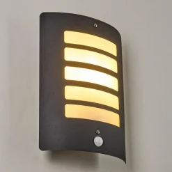 hofstein Applique murale d'extérieur Alslev Anthracite, 1 lumière, Détecteur de mouvement