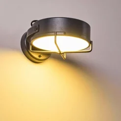 hofstein Applique murale d'extérieur Gotter LED Anthracite, 1 lumière