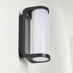 hofstein Applique murale d'extérieur Novelle LED Anthracite, 1 lumière