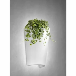 Luminaires Mantra Applique murale d'extérieur Mantra TEJA Blanc, 1 lumière