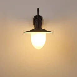 Luminaires Rustiques-hofstein Applique murale d'extérieur Surnu Noir, 1 lumière