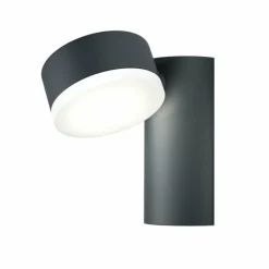 Luminaires Ledvance Applique murale d'extérieur LEDVANCE ENDURA Noir, 1 lumière