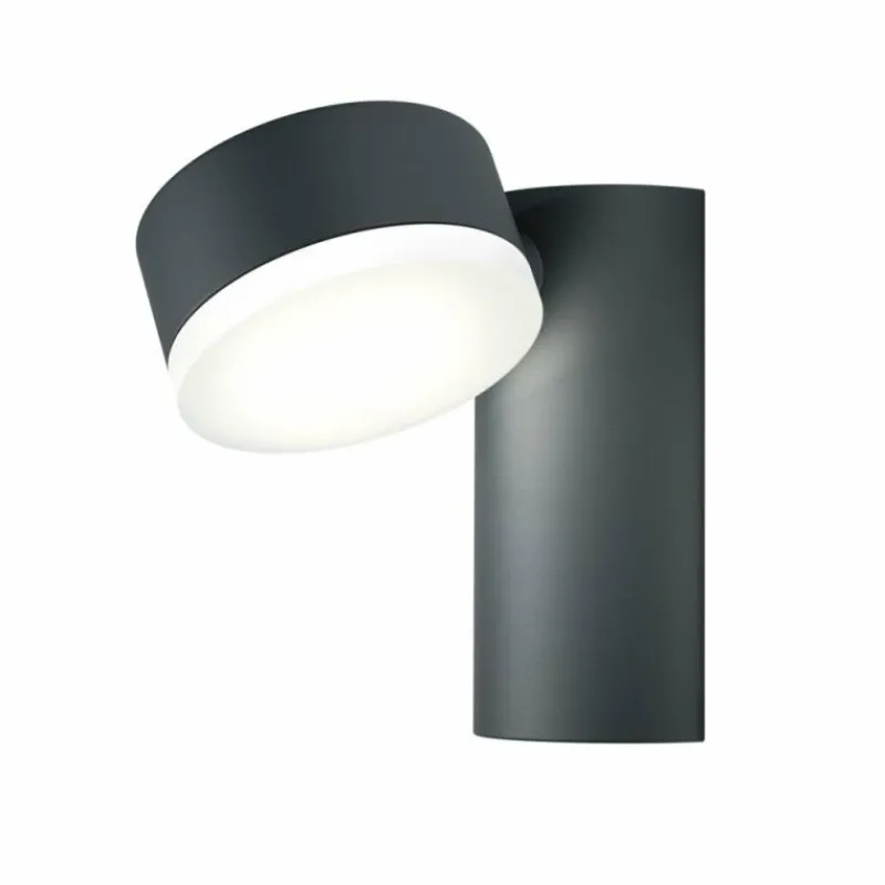 Luminaires Ledvance Applique murale d'extérieur LEDVANCE ENDURA Noir, 1 lumière