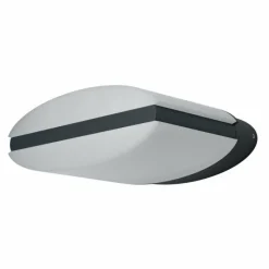 Luminaires Ledvance Applique murale d'extérieur LEDVANCE ENDURA Noir, 1 lumière