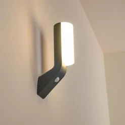 hofstein Applique murale d'extérieur Porus LED Anthracite, 1 lumière, Détecteur de mouvement