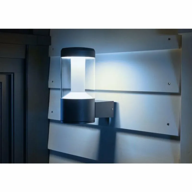 Luminaires Ledvance Applique murale d'extérieur LEDVANCE SMART+ Gris, 1 lumière, Changeur de couleurs