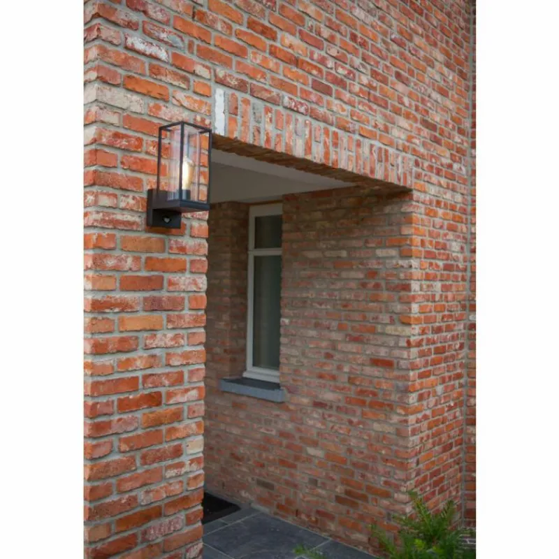 Luminaires Lutec Applique murale d'extérieur Lutec Flair Noir, 1 lumière, Détecteur de mouvement